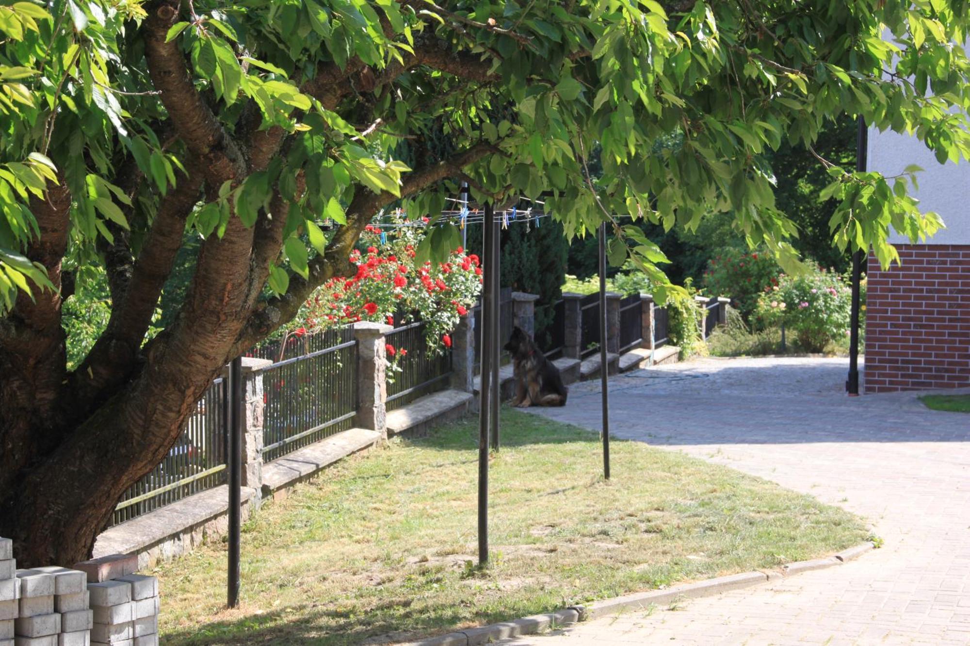 Mira - Mira Pokoje Z Widokiem Na Jezioro Chmielno Esterno foto